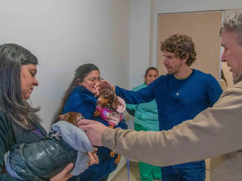 6876cc0bc8c0a_4-presentacion-patitas-de-salud