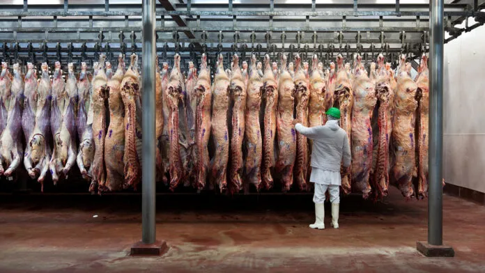 carne-696x392
