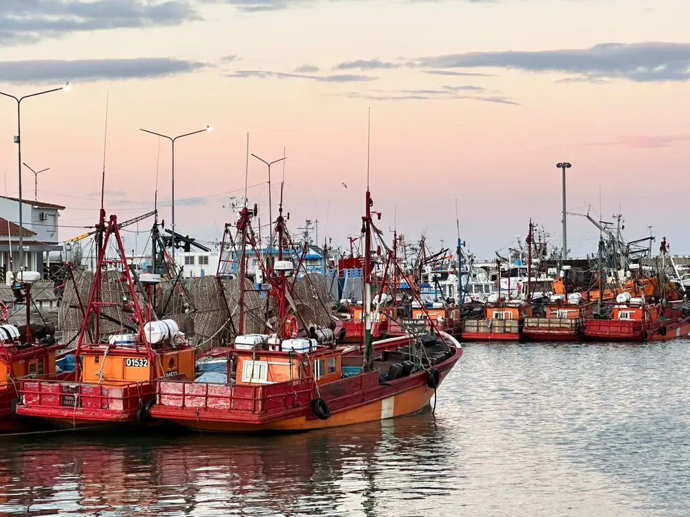 fd088208-8c6a-4289-9ac0-ac42ea8cf65f