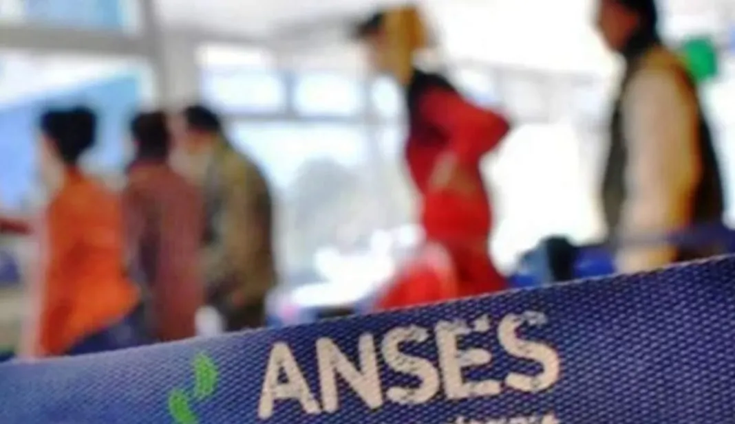 anses1-1068x617 (2)