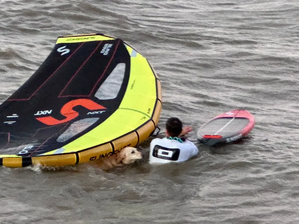 0c627722-b5e2-49c0-8474-a1a57599cbe2